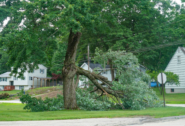 Leaf Removal in Greenhills, OH